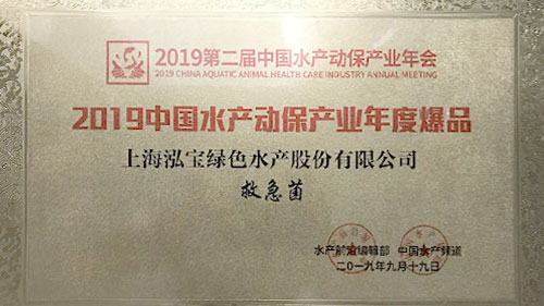上海泓宝科技：“救急菌”荣获产业年度爆品奖项